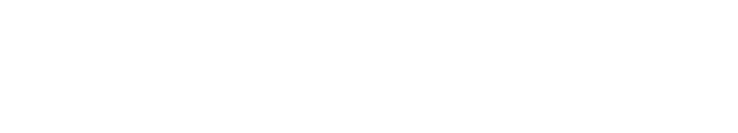 IGS Business Partners